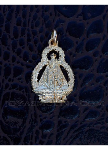 Medalla Virgen Cabeza oro silueta clásica 19x24